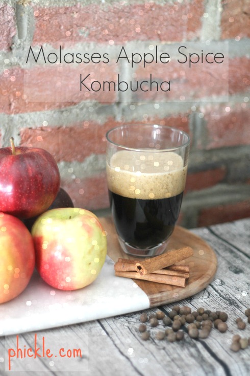 the perfect winter kombucha flavor