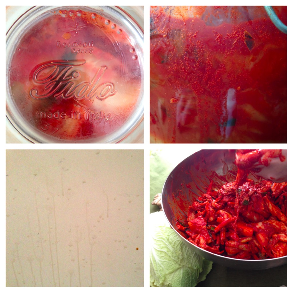 kimchi wall spray 4