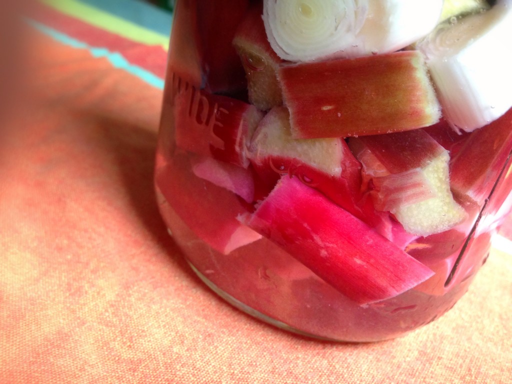 Easy to make tangy rhubarb pickles!
