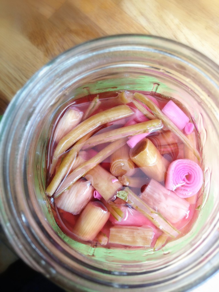 Top view of lacto fermented rhubarb pickles