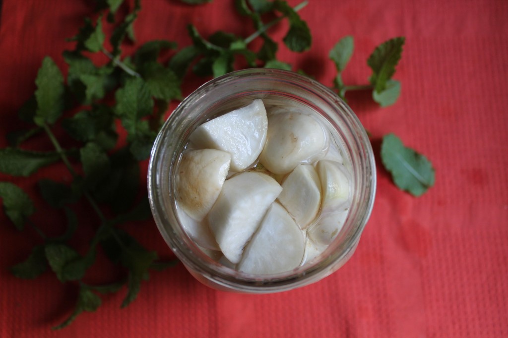 white pickles with mint