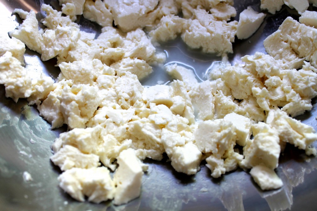 Cheese Curd for making your own mozzarella, called cagliata