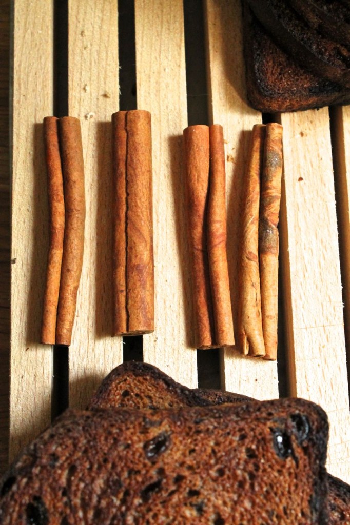 Cinnamon sticks lined up