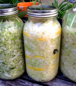 Sauerkraut doesn't need any dairy or whey! Cabbage is naturally covered in lactic acid bacteria.