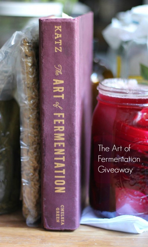 My library consists of tempeh, pickles and The Art of Fermentation** **plus some other stuff.