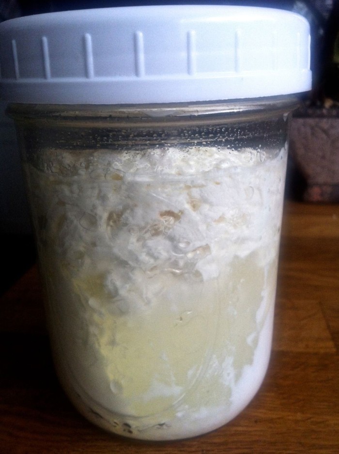 Milk Kefir Guide phickle