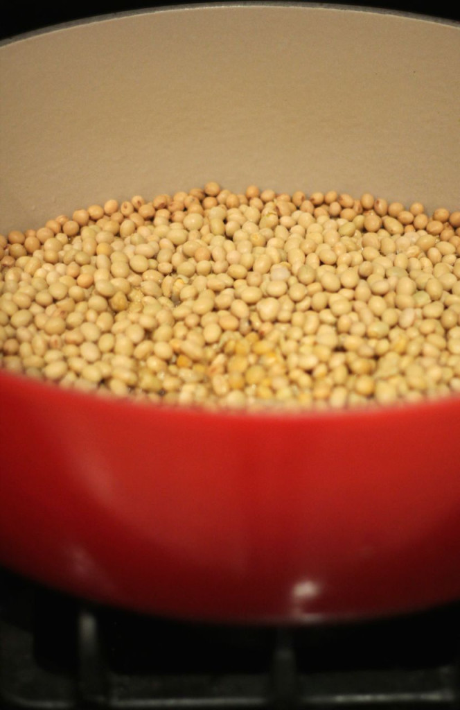 Soak your beans in an extra large vessel and cover them with at least twice as much water as there are beans.  They will more than double in size.