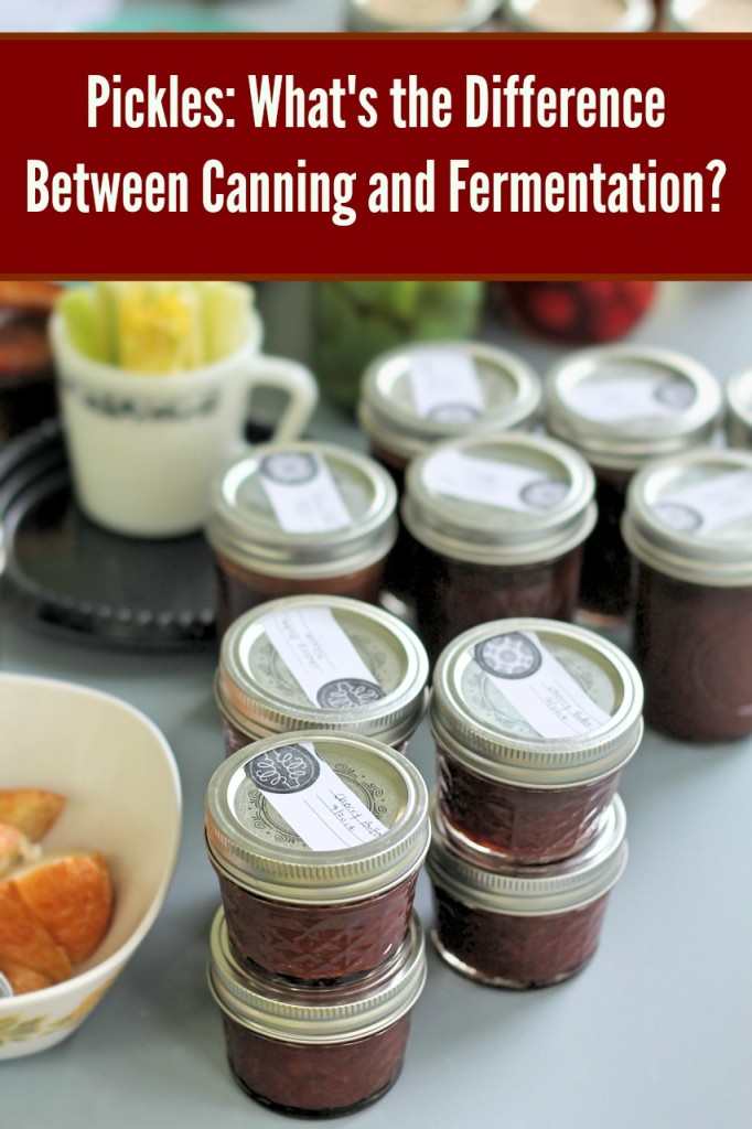 Canning vs. Fermentation. How do you know if you're pickles are probiotic?