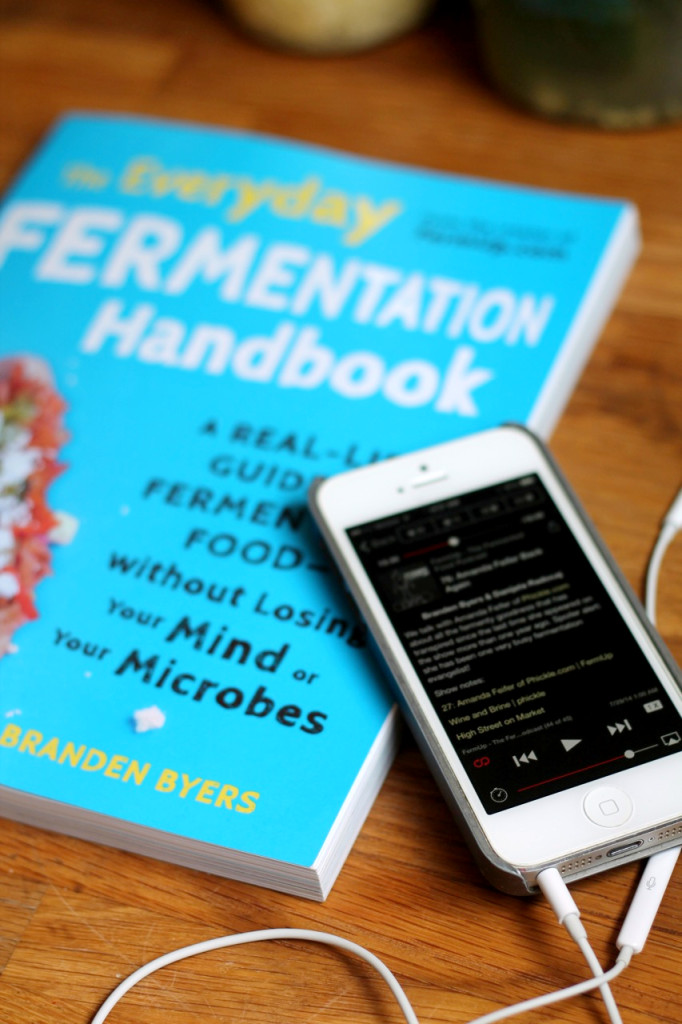 FermUp Fermentation Cookbook