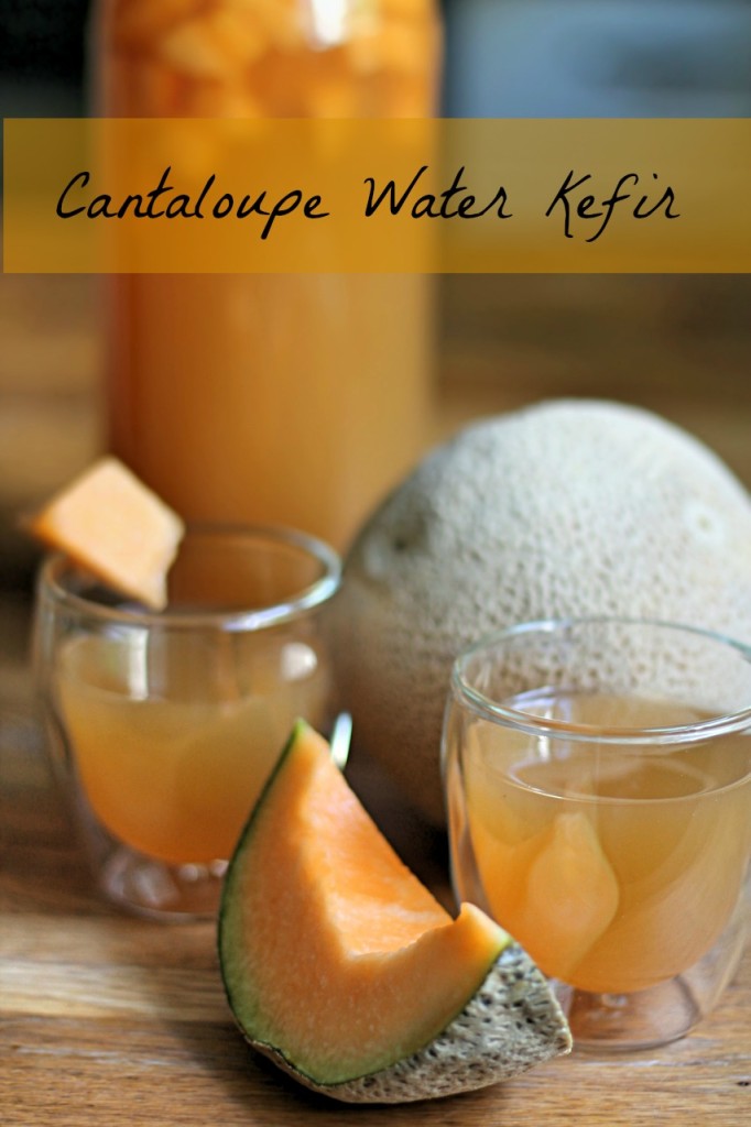Cantaloupe water kefir recipe
