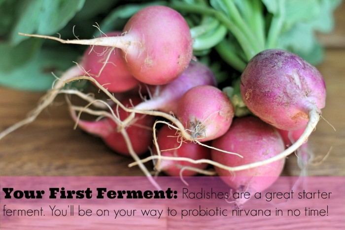 Radishes are a great choice for a first fermentation effort. Get probiotic! Learn to ferment at Phickle.com