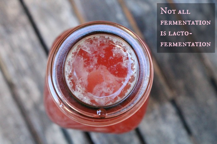 Vinegar is not lactofermentation