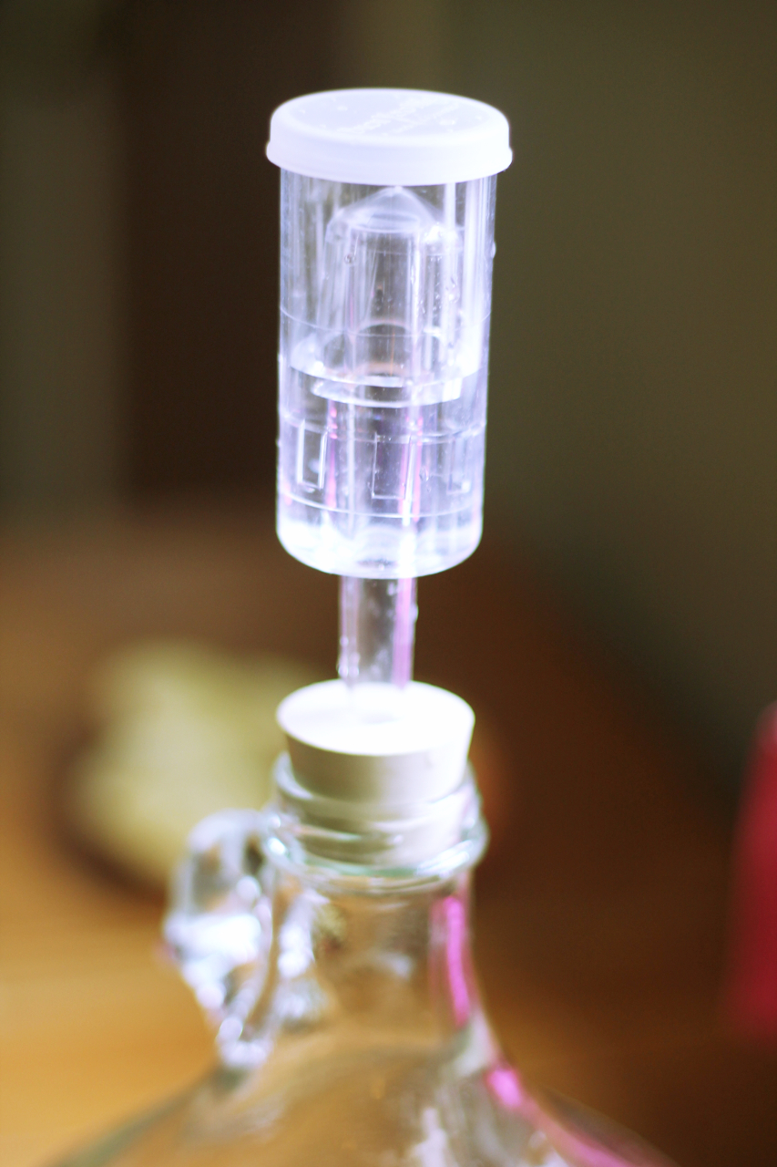 Wild Hard Cider phickle