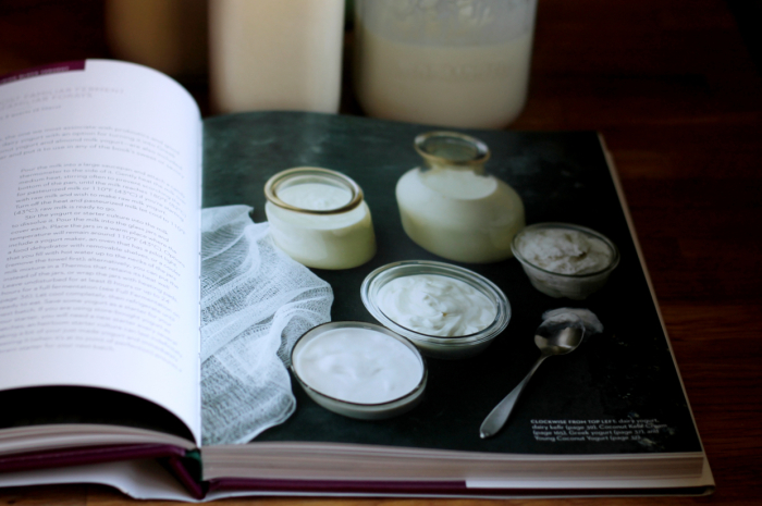 Plenty of dairy and non-dairy fermented ingredients come into play in this cookbook.