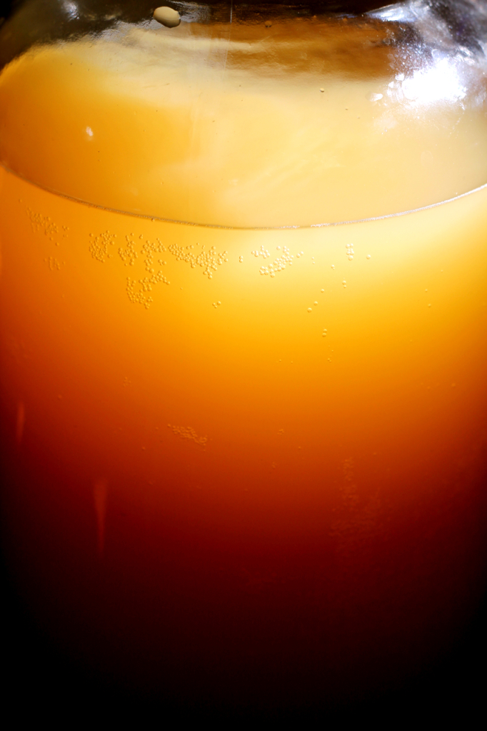 Wild Hard Cider phickle