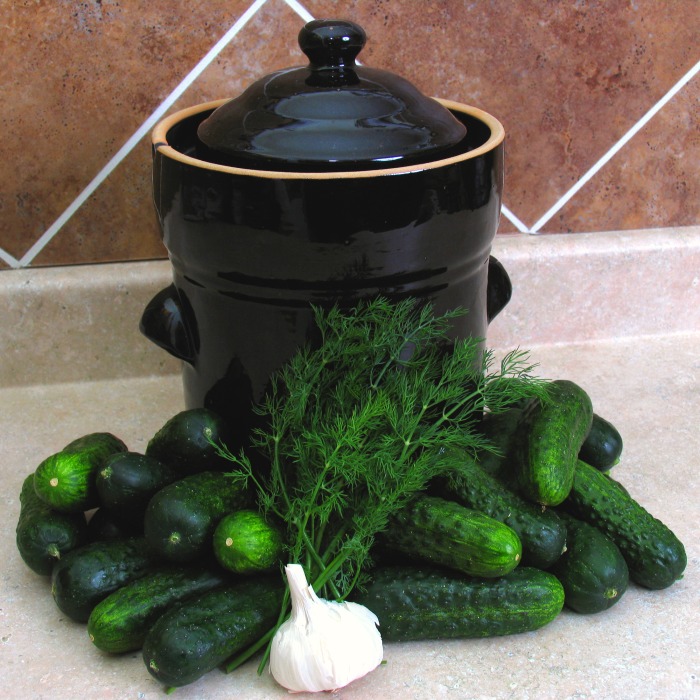 Wanna make LOTS of pickles or give your favorite pickle a joyful Christmas gift?
