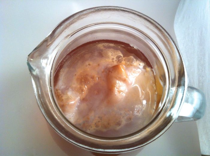 A normal SCOBY