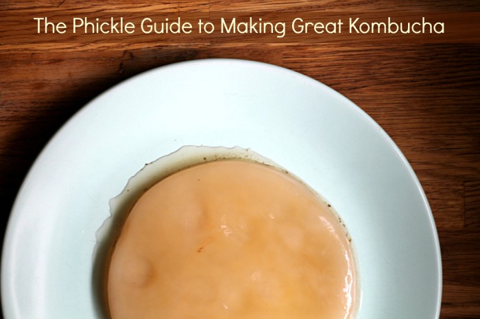 Make great kombucha every time with this guide