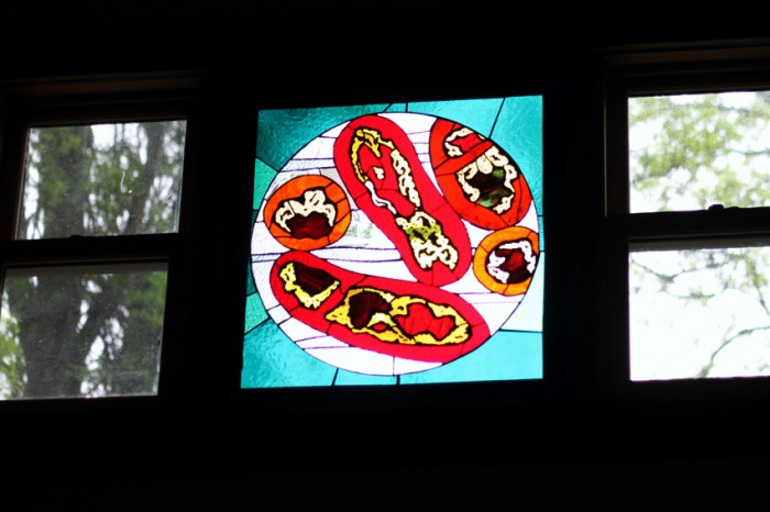 Bacteria Stained Glass