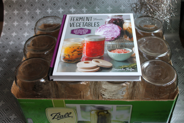 Foodie Gifts Fermentation Book