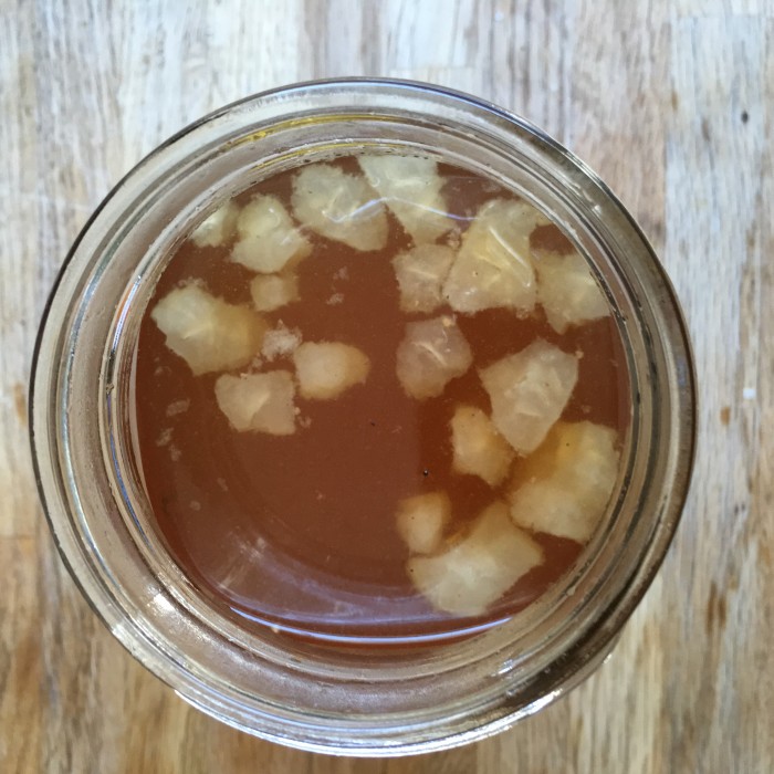 Even though I've been away from blogging for a while, I've been busy making ferments and teaching classes on topics that include water kefir.