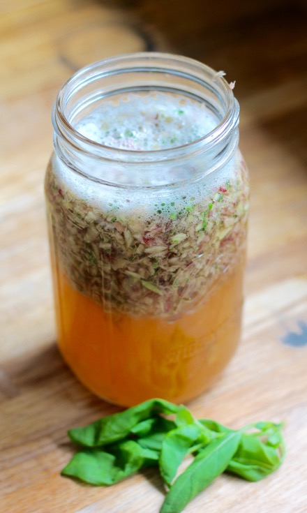 Fizzy kombucha with rhubarb basil and milnt